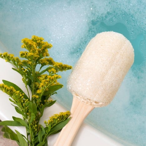 Brosse en Luffa pour le bain - ECOTOOLS