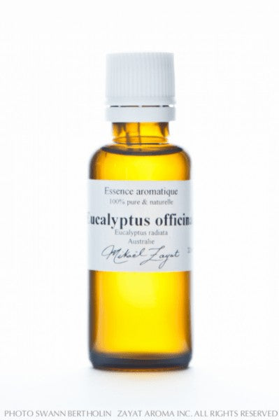 HE Eucalyptus Officinal - Bio Afrique Sud 11 ml - ZAYAT AROMA