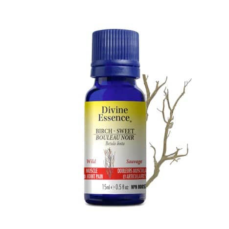 Bouleau noir sauvage - Huile essentielle - DIVINE ESSENCE