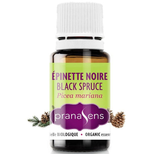 Épinette noire - Huile essentielle - DIVINE ESSENCE / PRANASENS