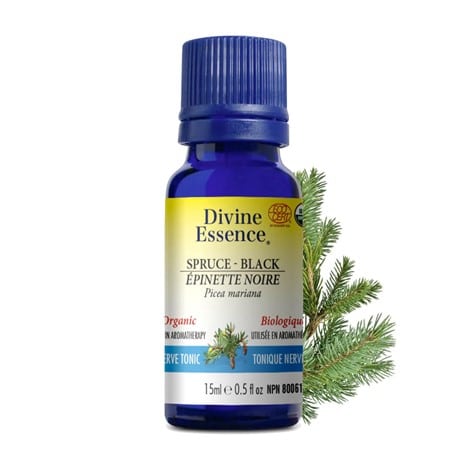 Épinette noire - Huile essentielle - DIVINE ESSENCE / PRANASENS