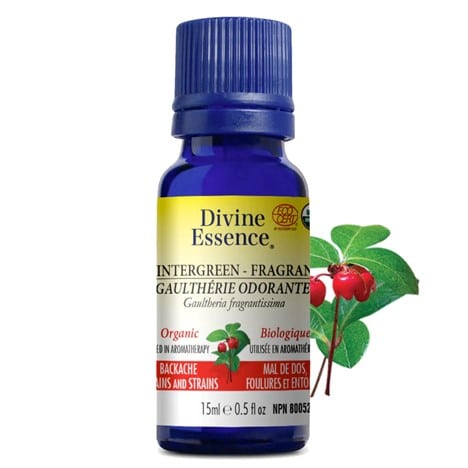 Gaulthérie odorant / thé des bois - Huile essentielle - DIVINE ESSENCE