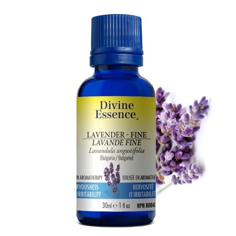 Lavande fine - Huile essentielle - DIVINE ESSENCE