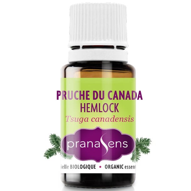 Pruche du Canada - Huile essentielle - PRANASENS