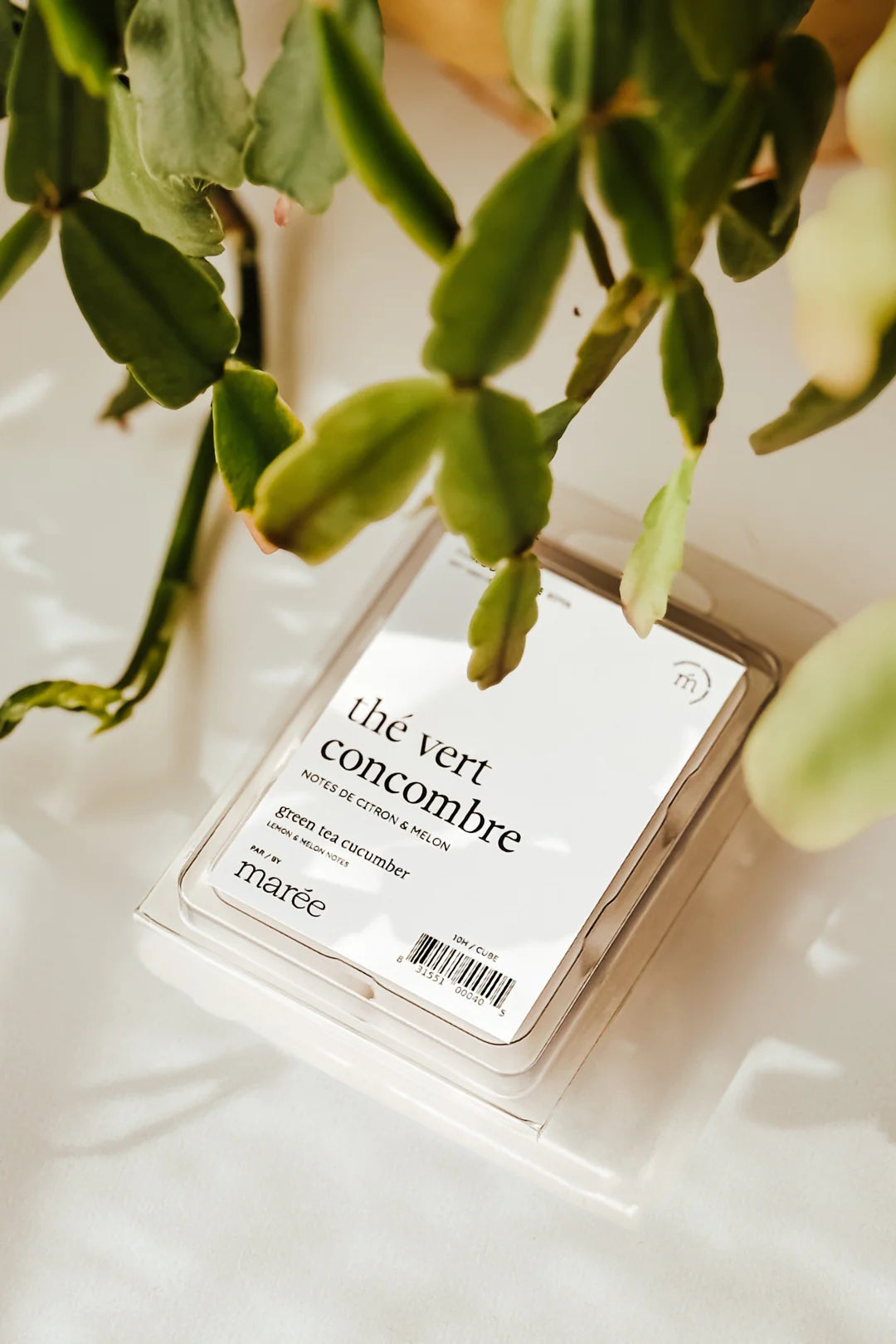 Cubes de cire de soya pour diffuseur (6 morceaux) - Thé vert concombre - MARÉE CHANDELLES