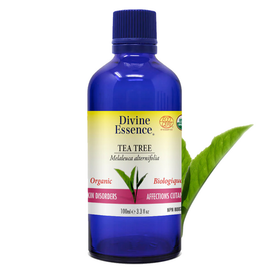 Huile essentielle - Tea tree - DIVINE ESSENCE