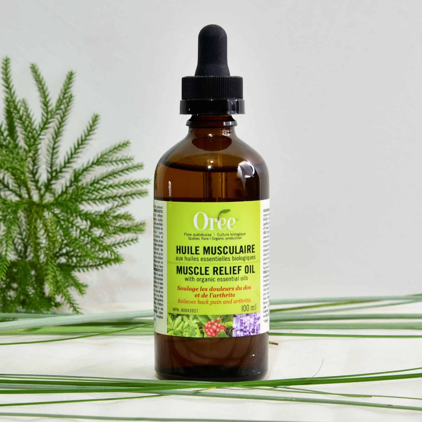 Huile Musculaire - Synergie d'huiles essentielles - PRANASENS