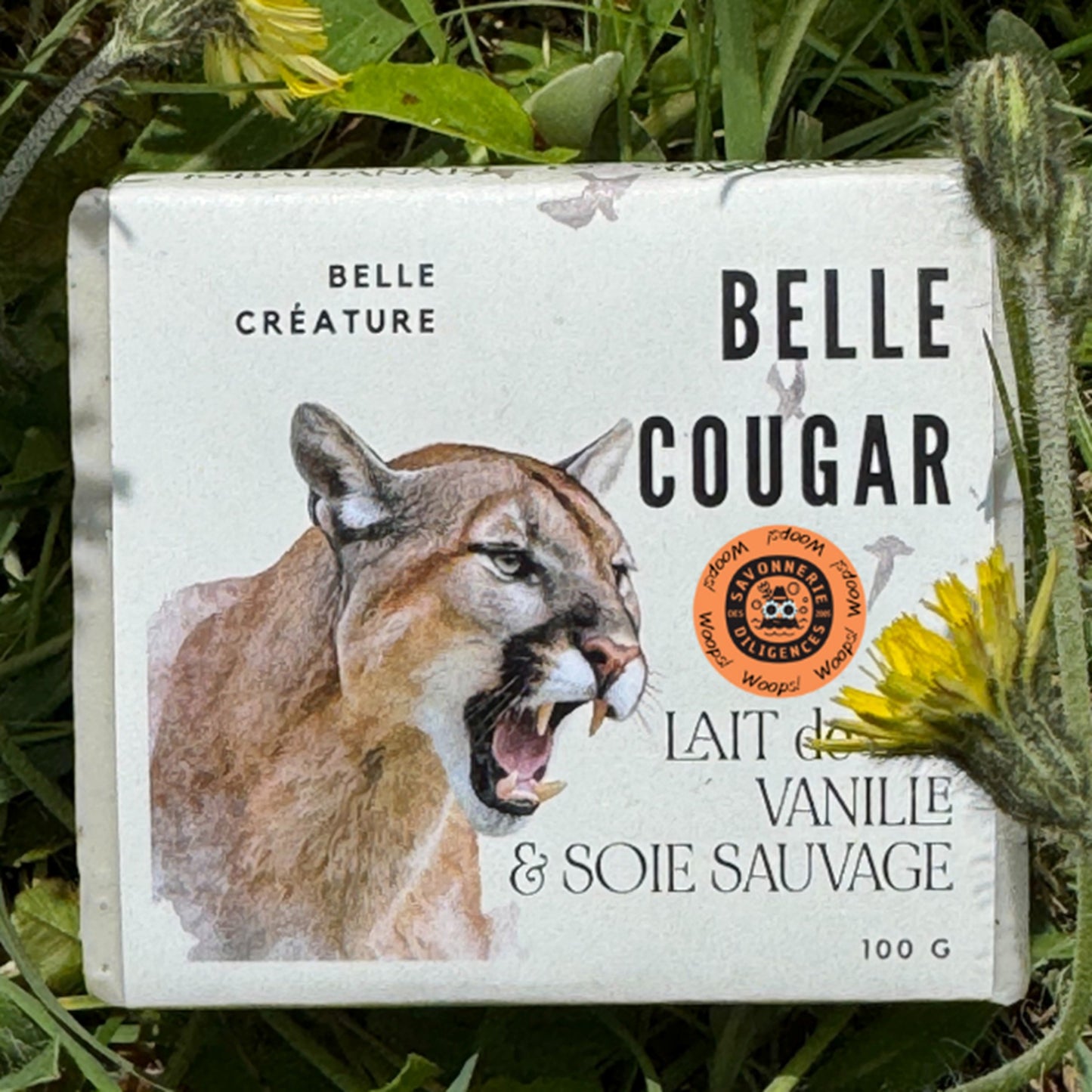 Savon en barre pour le corps - SAVONNERIE DES DILIGENCES