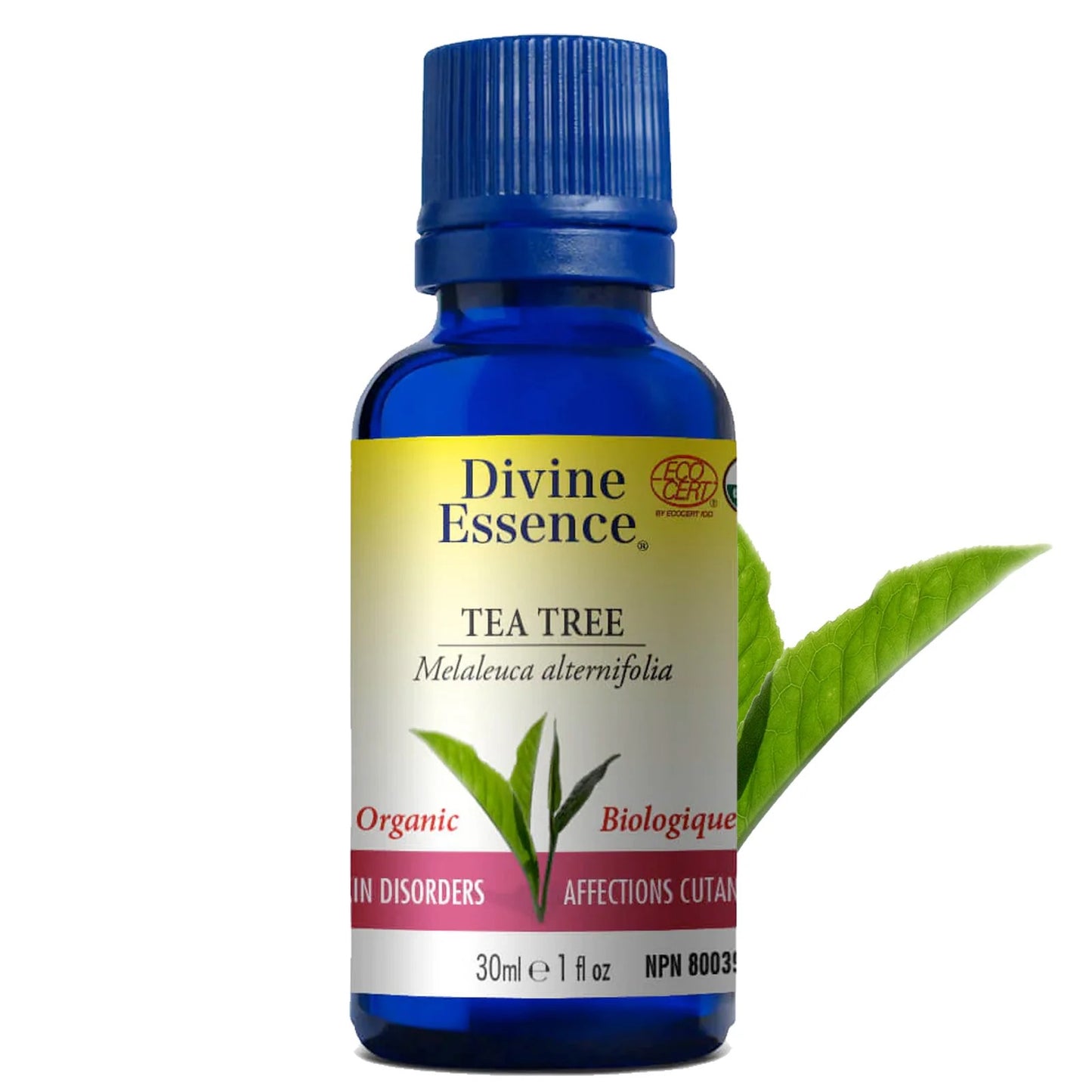 Huile essentielle - Tea tree - DIVINE ESSENCE