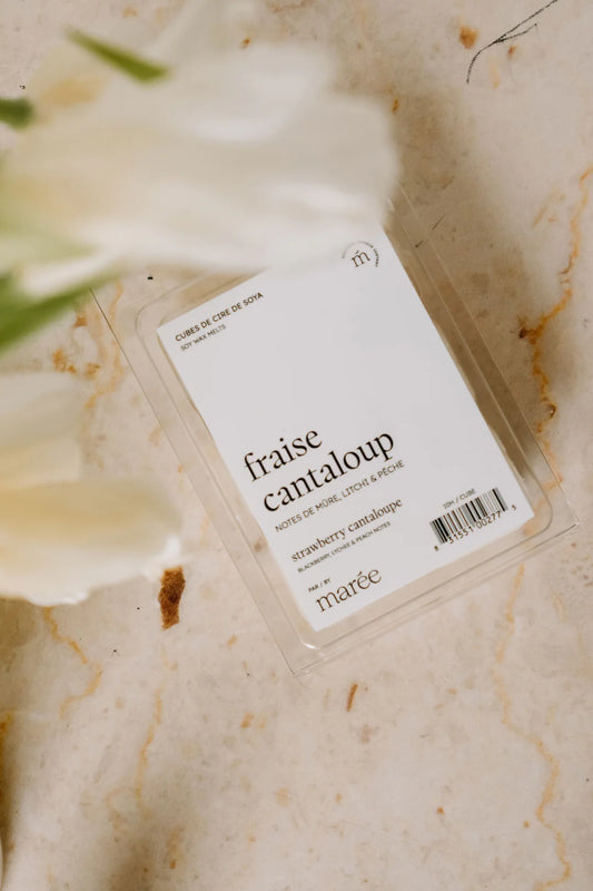 Cubes de cire de soya pour diffuseur (6 morceaux) - Fraise Cantaloup - MARÉE CHANDELLES