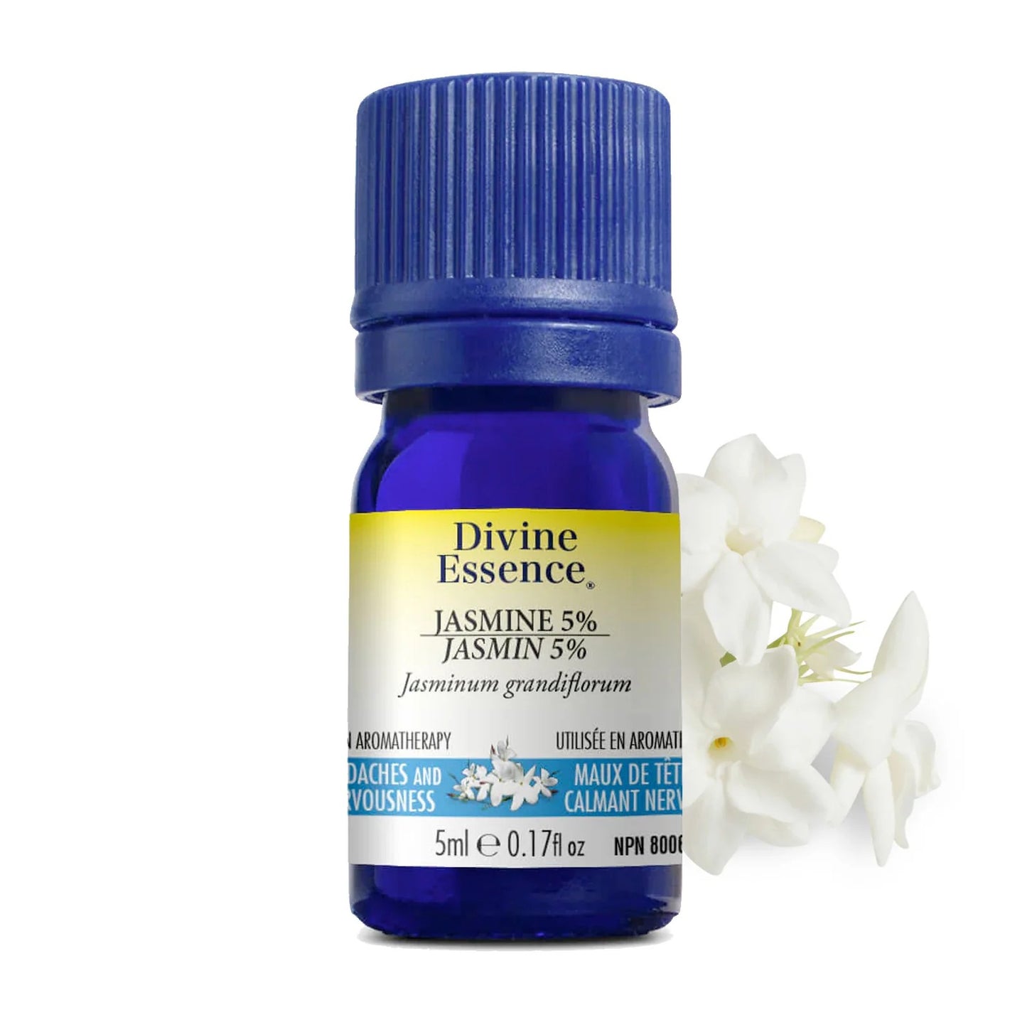 Huile essentielle Jasmin 5% - 5ml - DIVINE ESSENCE